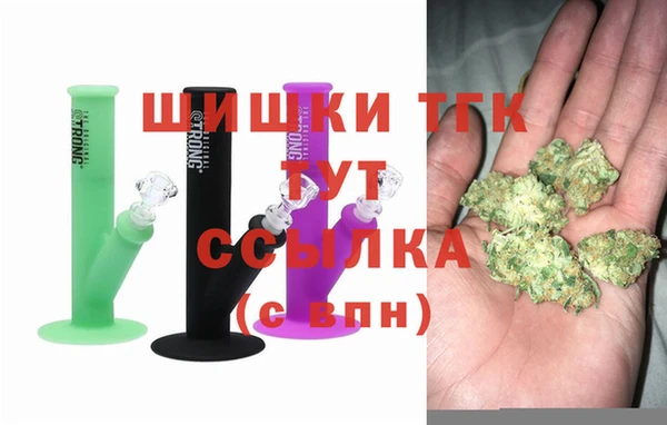 сатива Бронницы