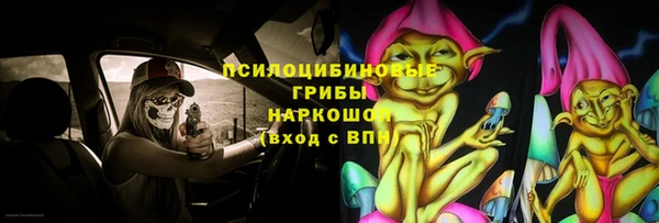 сатива Бронницы