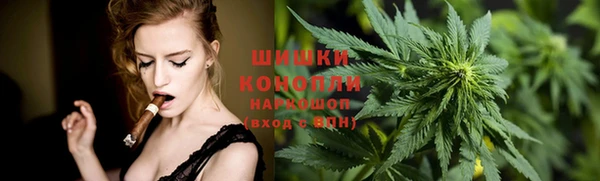 гидропоника Бородино