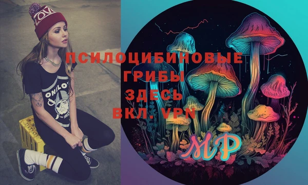 гидропоника Бородино