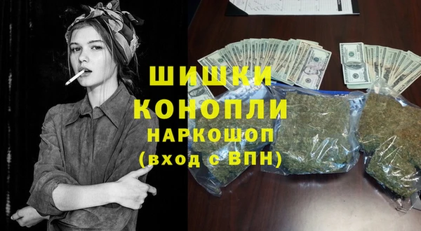гидропоника Бородино