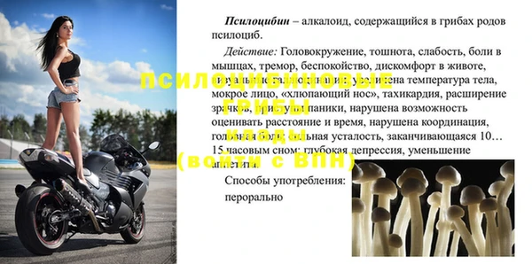 бошки Володарск