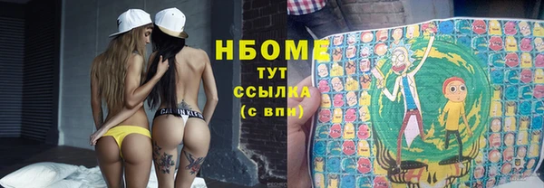 гидропоника Бородино
