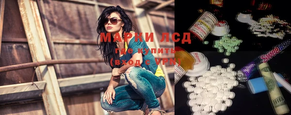 сатива Бронницы